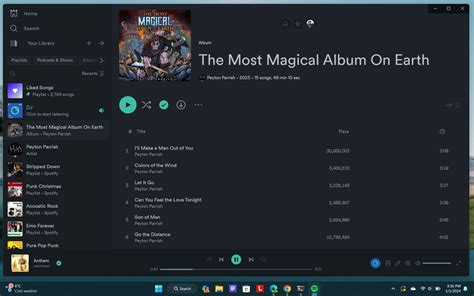 full app display spicetify|How I spiced up the Spotify Windows app with a custom theme .